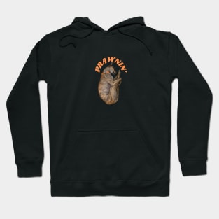 Prawnin' Paul Hoodie